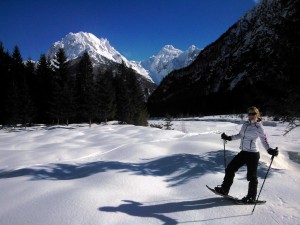 snowshoe